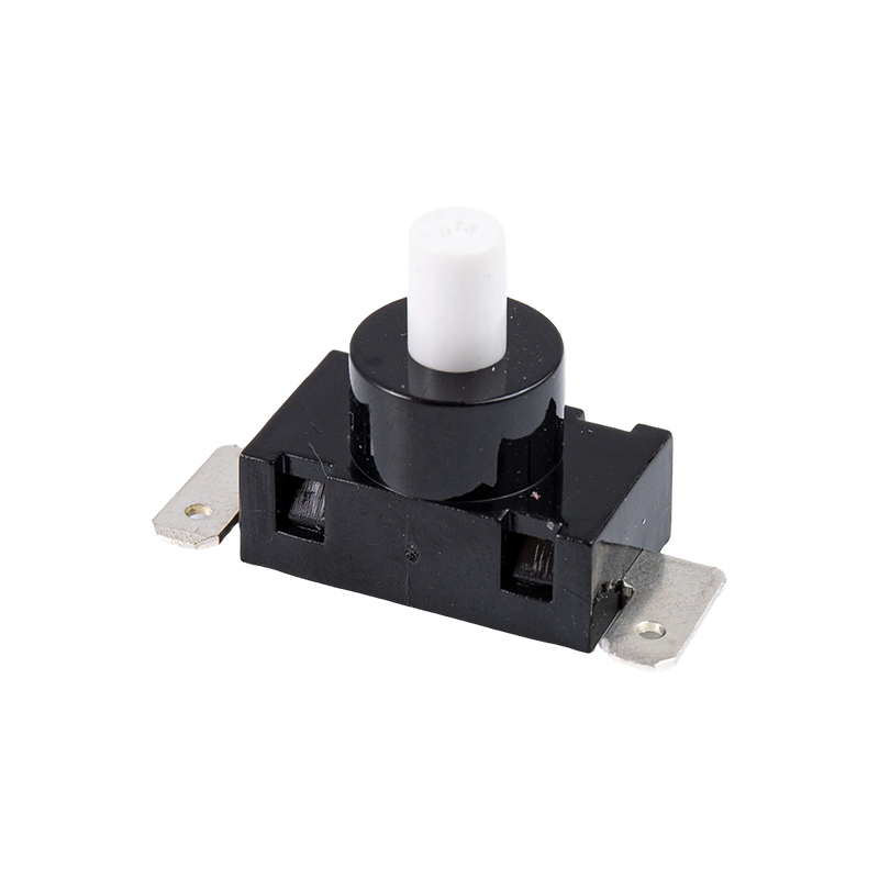 Interruptor de botón P12-3B